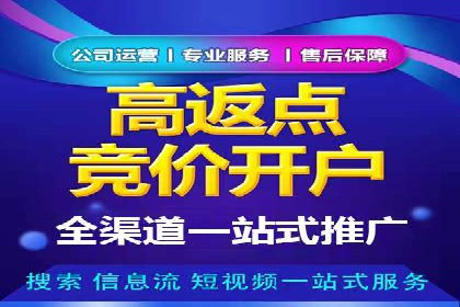 深入了解SEM竞价代运营公司：成功背后的故事